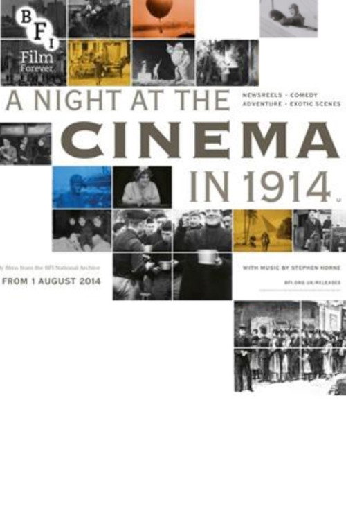 Movie poster for A Night at the Cinema in 1914 (2014)