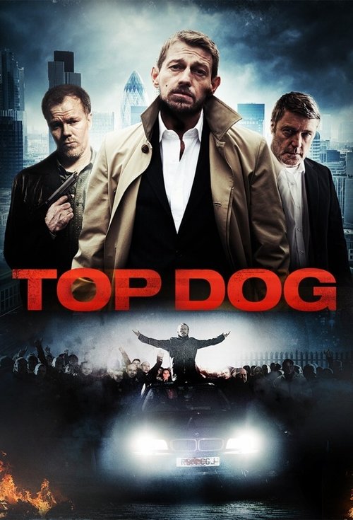 Movie poster for Top Dog (2014)