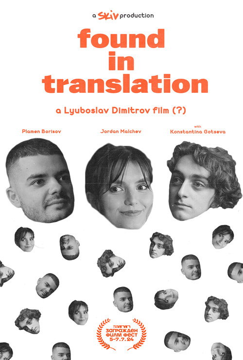 Movie poster for Found in Translation (2024)