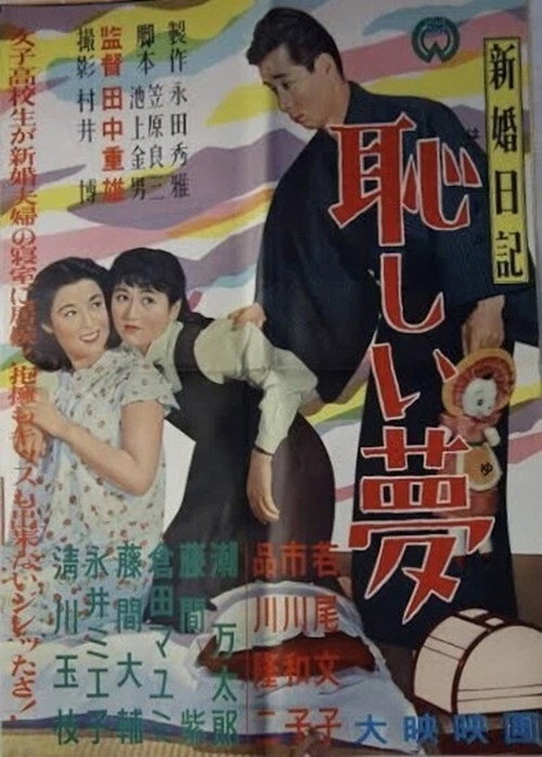 Movie poster for Newlywed Diary: An Embarrassing Dream (1956)