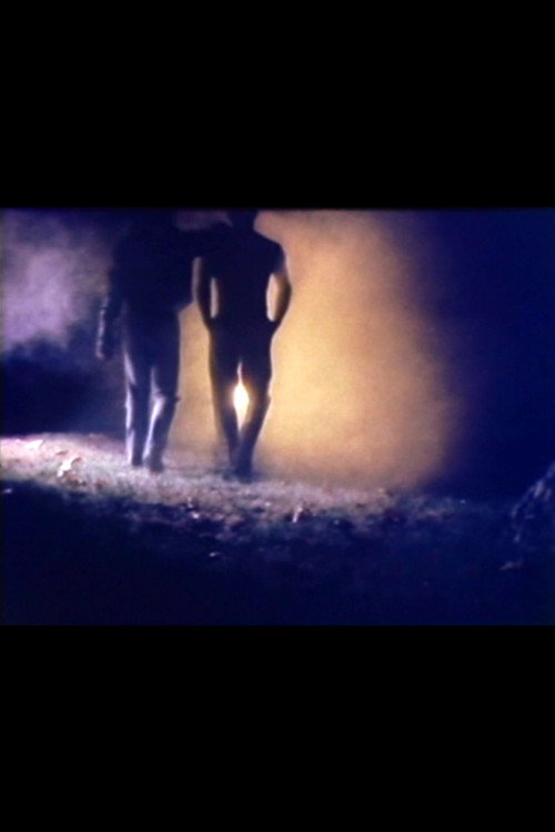Movie poster for V.O. (2006)