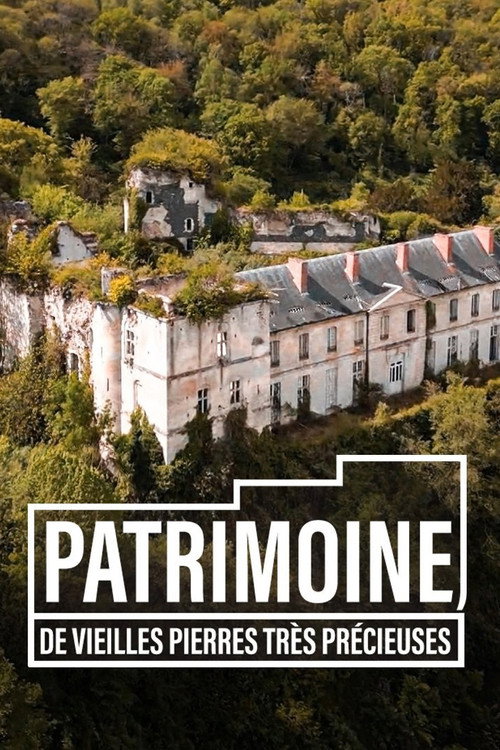 Movie poster for Patrimoine, de vieilles pierres très précieuses (2023)