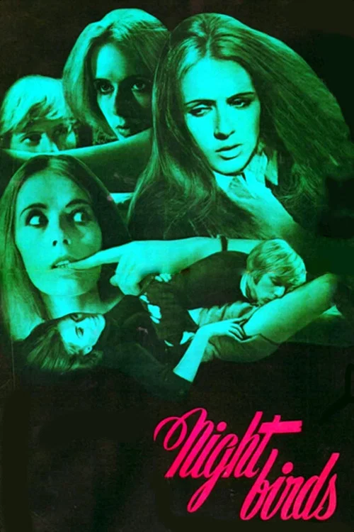 Movie poster for Nightbirds (1970)