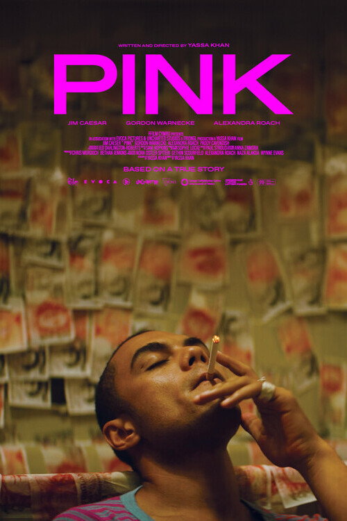 Movie poster for PINK