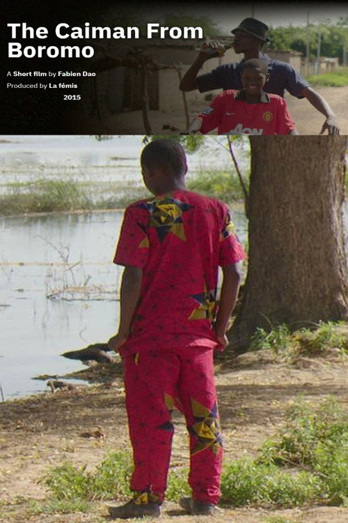 Movie poster for The Caiman From Boromo (2016)