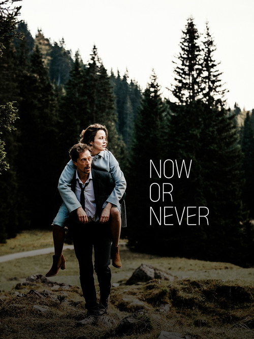 Movie poster for Now or Never (2019)