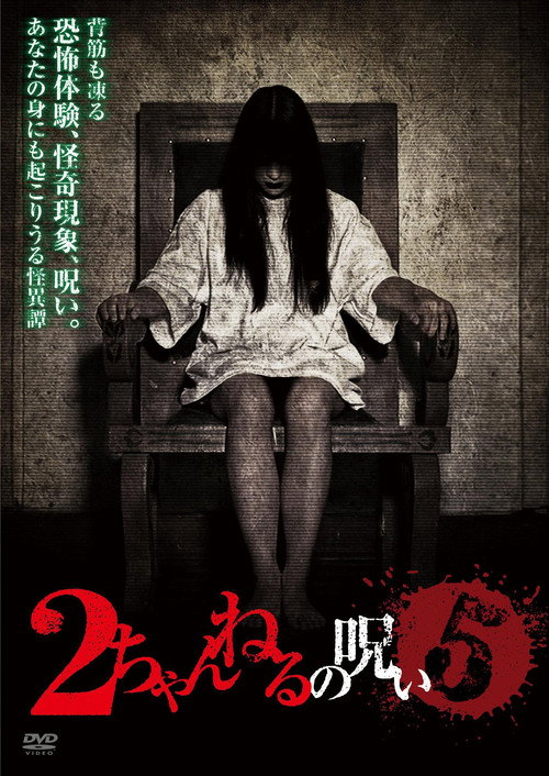 Movie poster for 2 Channel no Noroi - VOL. 5 (2011)