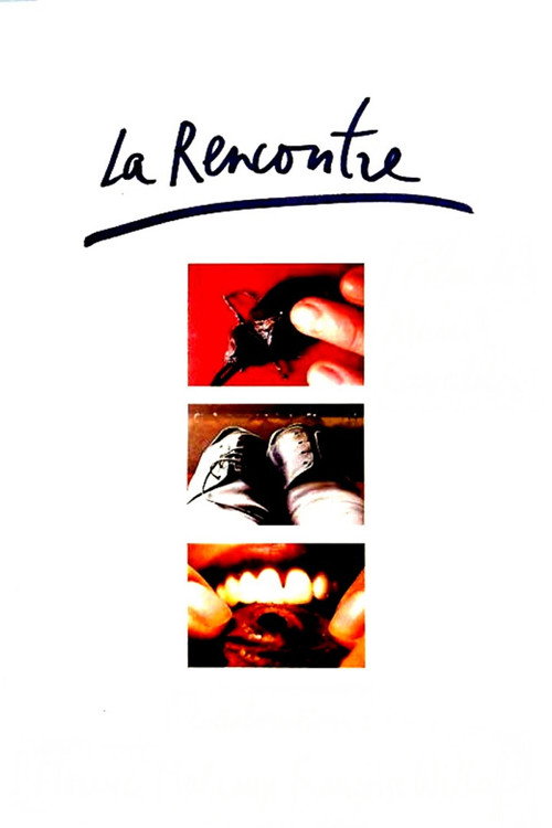 Movie poster for The Encounter (1996)