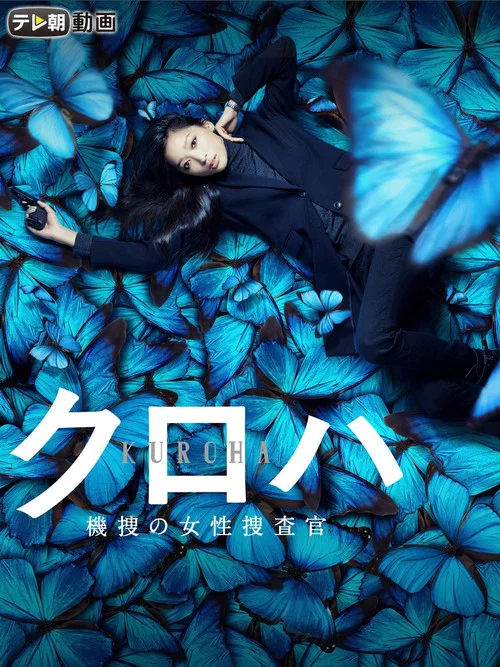 Movie poster for Pla-Baroque (2015)