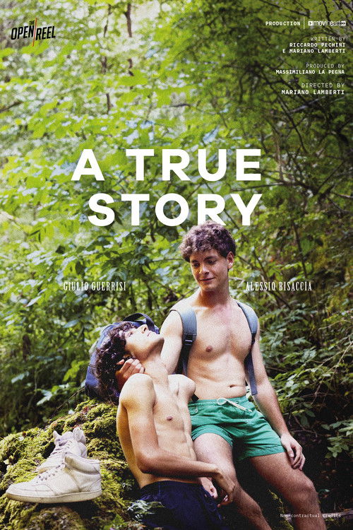 Movie poster for A True Story (2025)