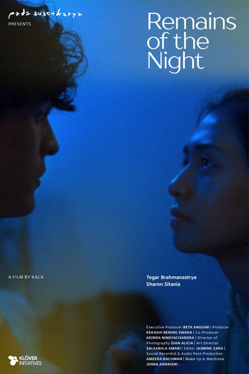 Movie poster for Remains of the Night
