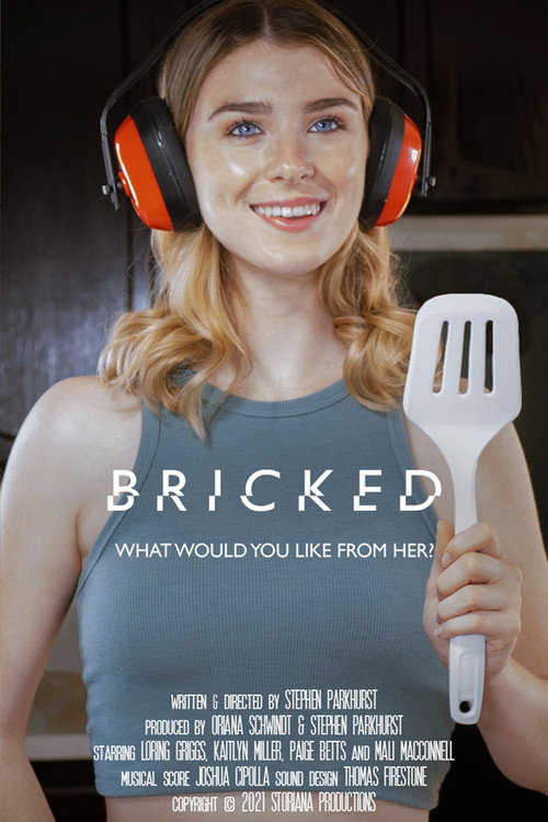 Movie poster for Bricked