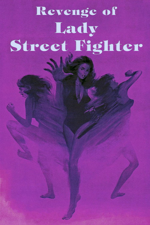 Movie poster for Revenge of Lady Street Fighter (1990)