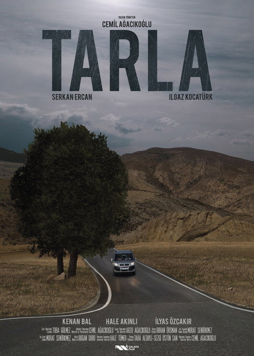 Movie poster for The Field (2017)