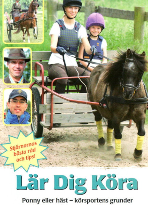 Movie poster for Lär dig köra (2007)