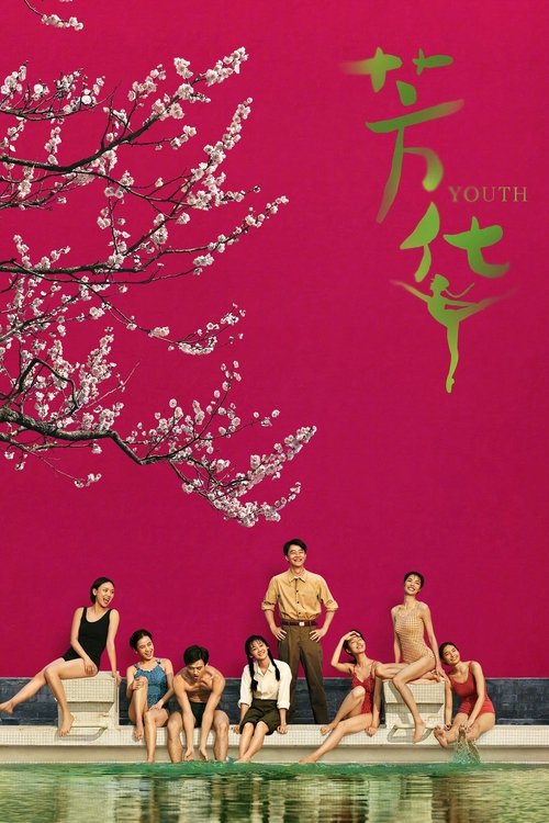 Movie poster for Youth (2017)