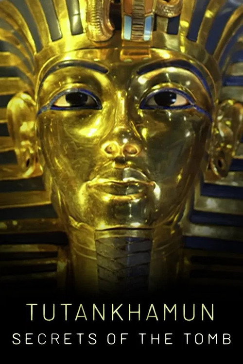 Movie poster for Tutankhamon: Titkok a sírból (2022)
