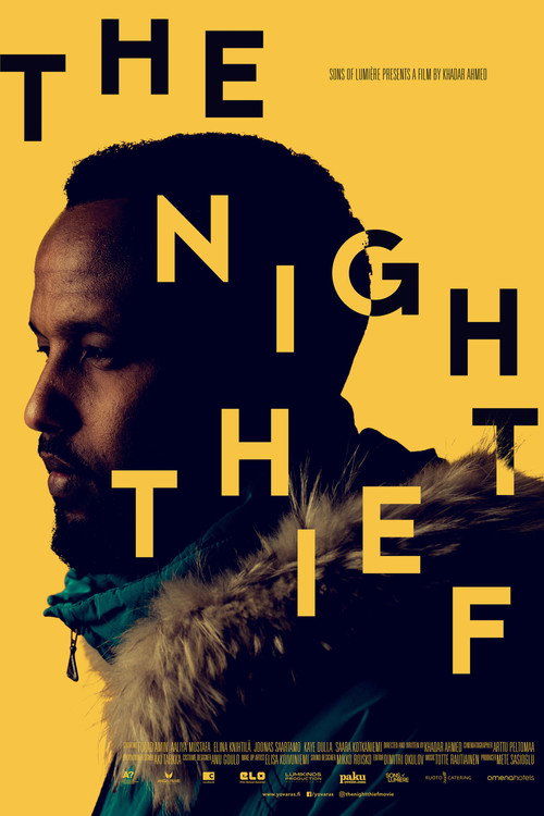 Movie poster for The Night Thief (2018)