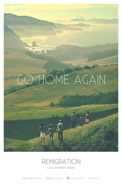Movie poster for Remigration (2011)