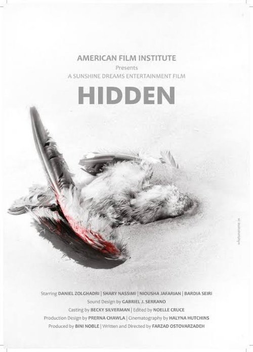 Movie poster for Hidden (2015)