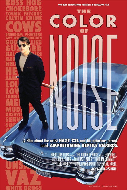 Movie poster for The Color of Noise (2014)