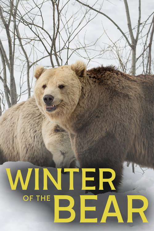 Movie poster for Winter of the Bear (2025)