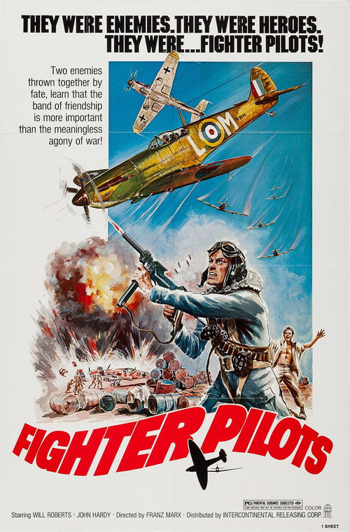Movie poster for Fighter Pilots (1975)