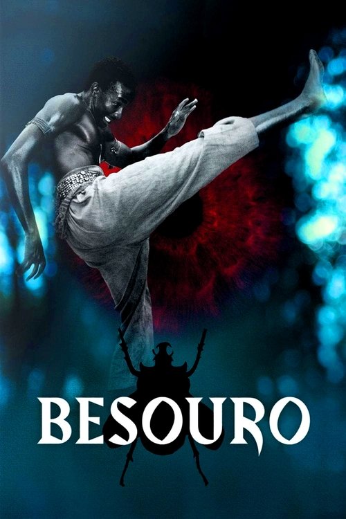 Movie poster for The Assailant (2009)