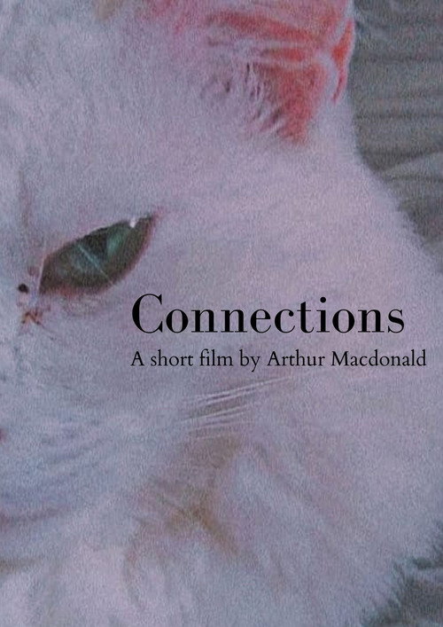 Movie poster for Connections (2021)