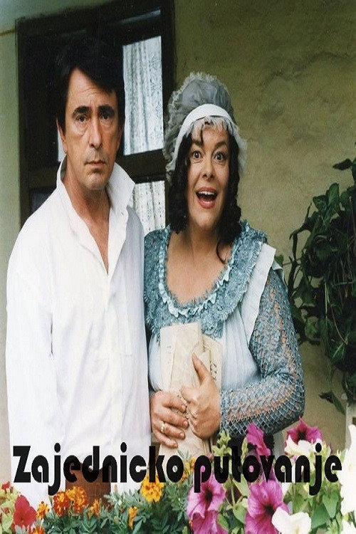 Movie poster for A Joint Journey (2002)