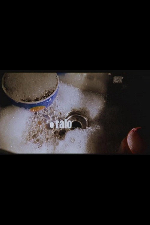Movie poster for O Ralo (1999)