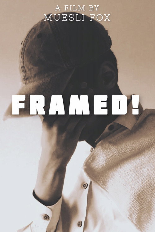 Movie poster for Framed! (2021)