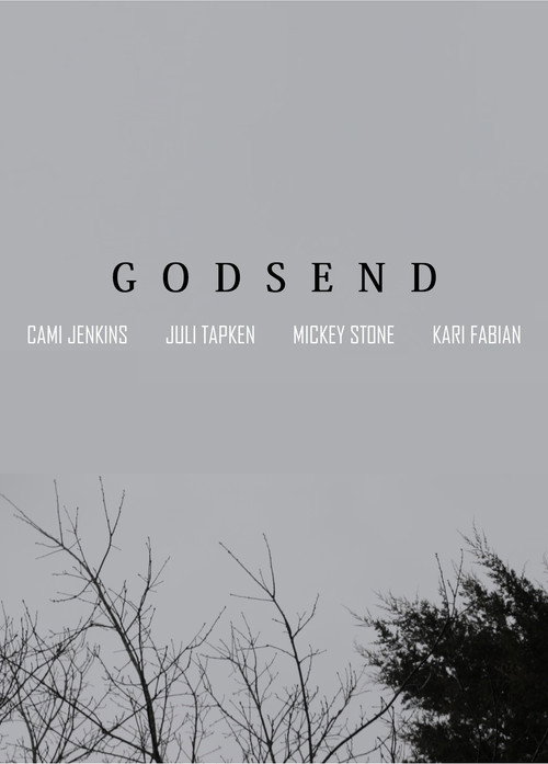 Movie poster for Godsend (2016)