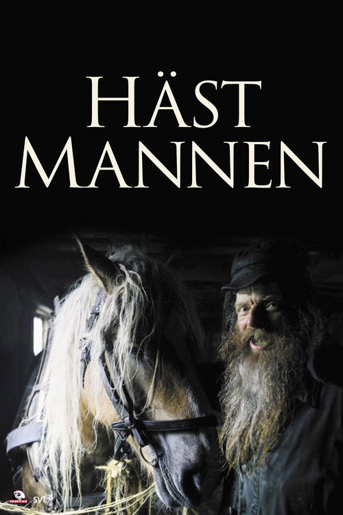 Movie poster for The Horseman (2006)
