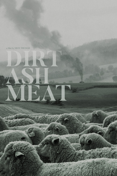 Movie poster for Dirt Ash Meat (2019)