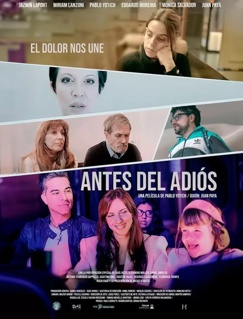 Movie poster for Antes del adiós (2024)