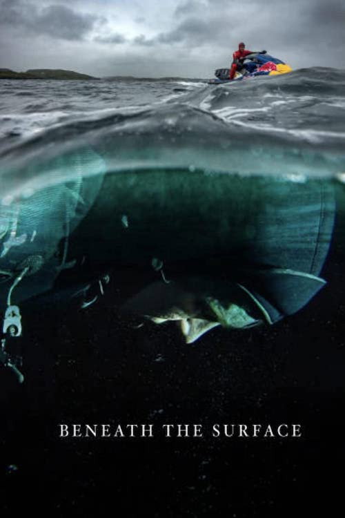 Movie poster for Beneath the Surface: Chasing a Secret Slab (2016)