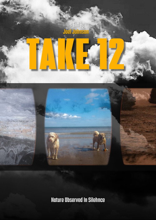 Movie poster for Take 12 (2025)
