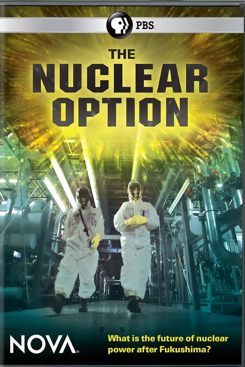 Movie poster for The Nuclear Option (2017)