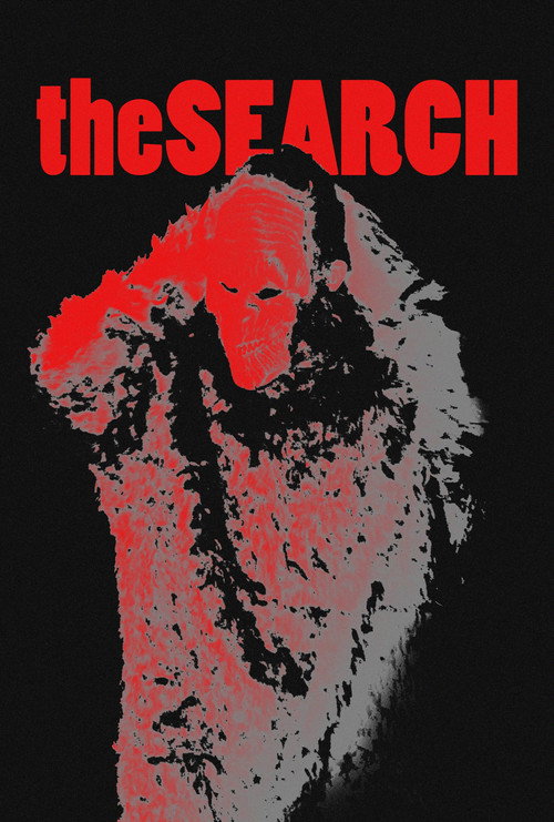 Movie poster for The Search (2024)
