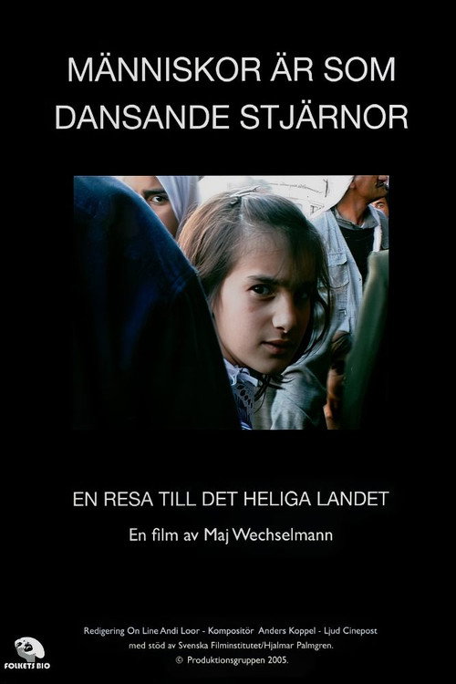 Movie poster for Det heliga landet (2006)