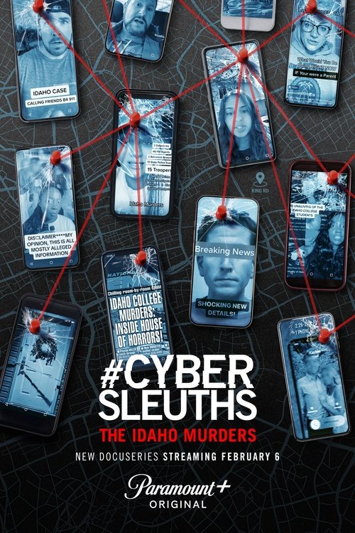 Series poster for #CyberSleuths: The Idaho Murders (2024)