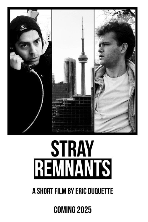 Movie poster for Stray Remnants