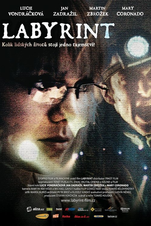 Movie poster for Labyrinth (2012)
