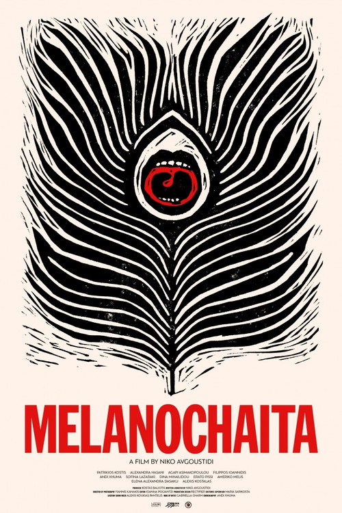 Movie poster for Melanochaita (2025)
