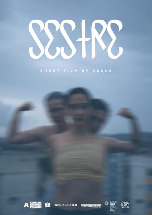 Movie poster for Sisters (2021)
