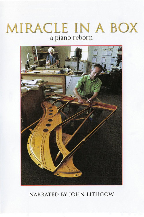 Movie poster for Miracle in a Box: A Piano Reborn (2009)