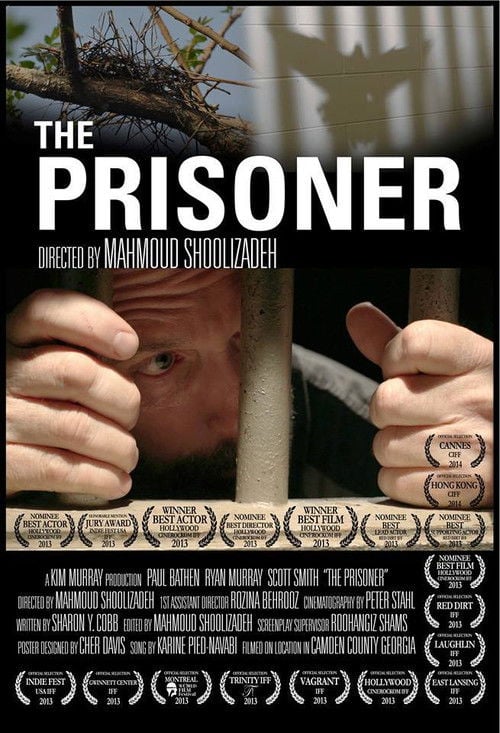 Movie poster for The Prisoner (2013)