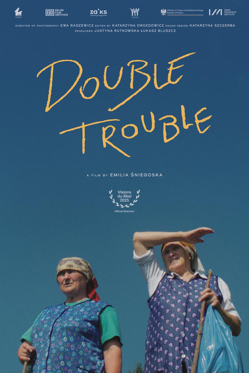 Movie poster for Double Trouble (2026)