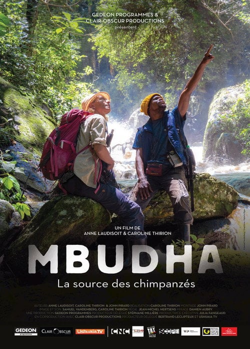 Movie poster for Mbudha, in the Chimpanzees' Footsteps (2019)